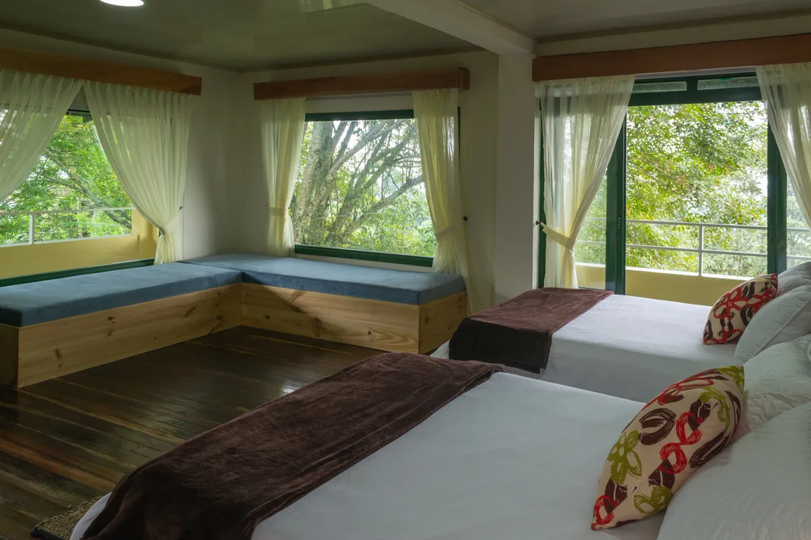 habitacion del hotel con decoracion moderna y vista al paisaje